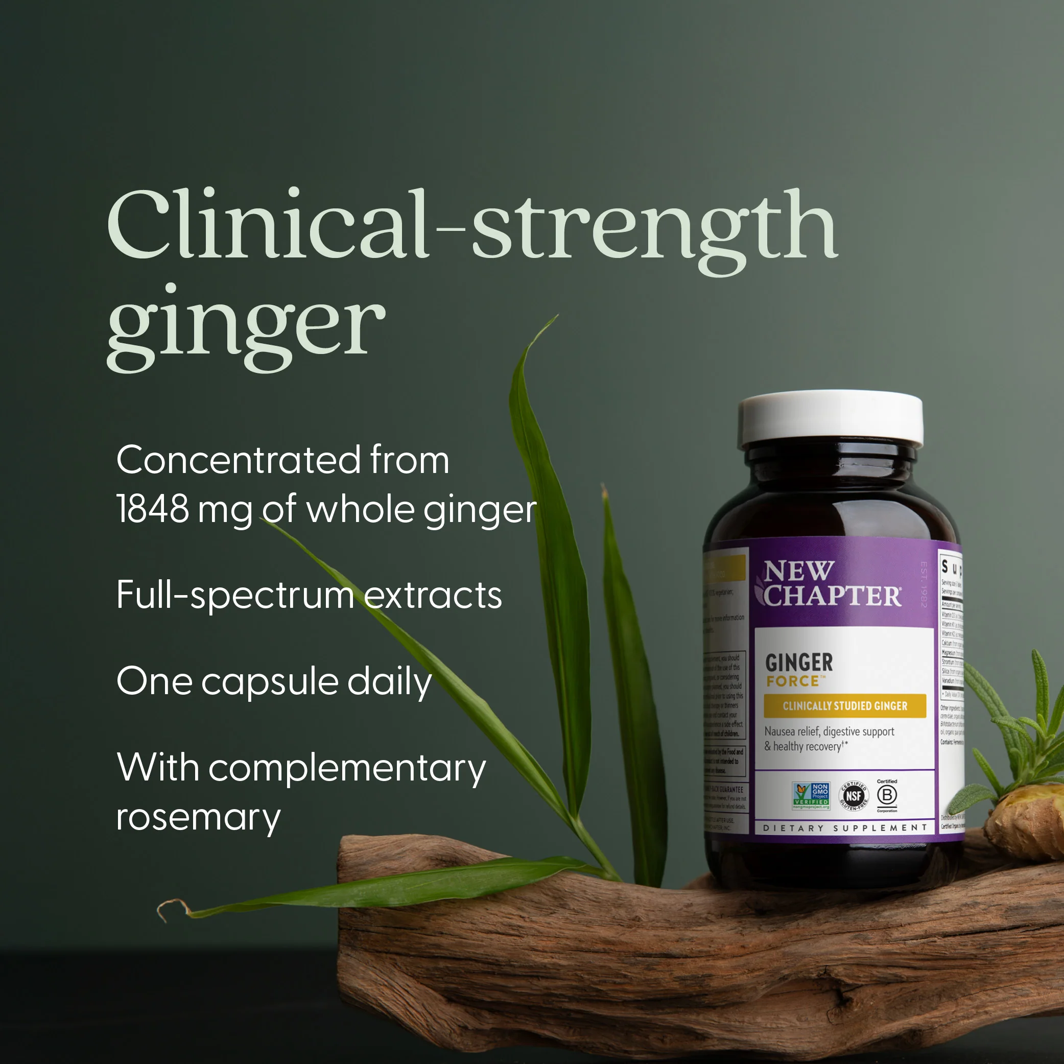 Ginger Force™ - Image 3