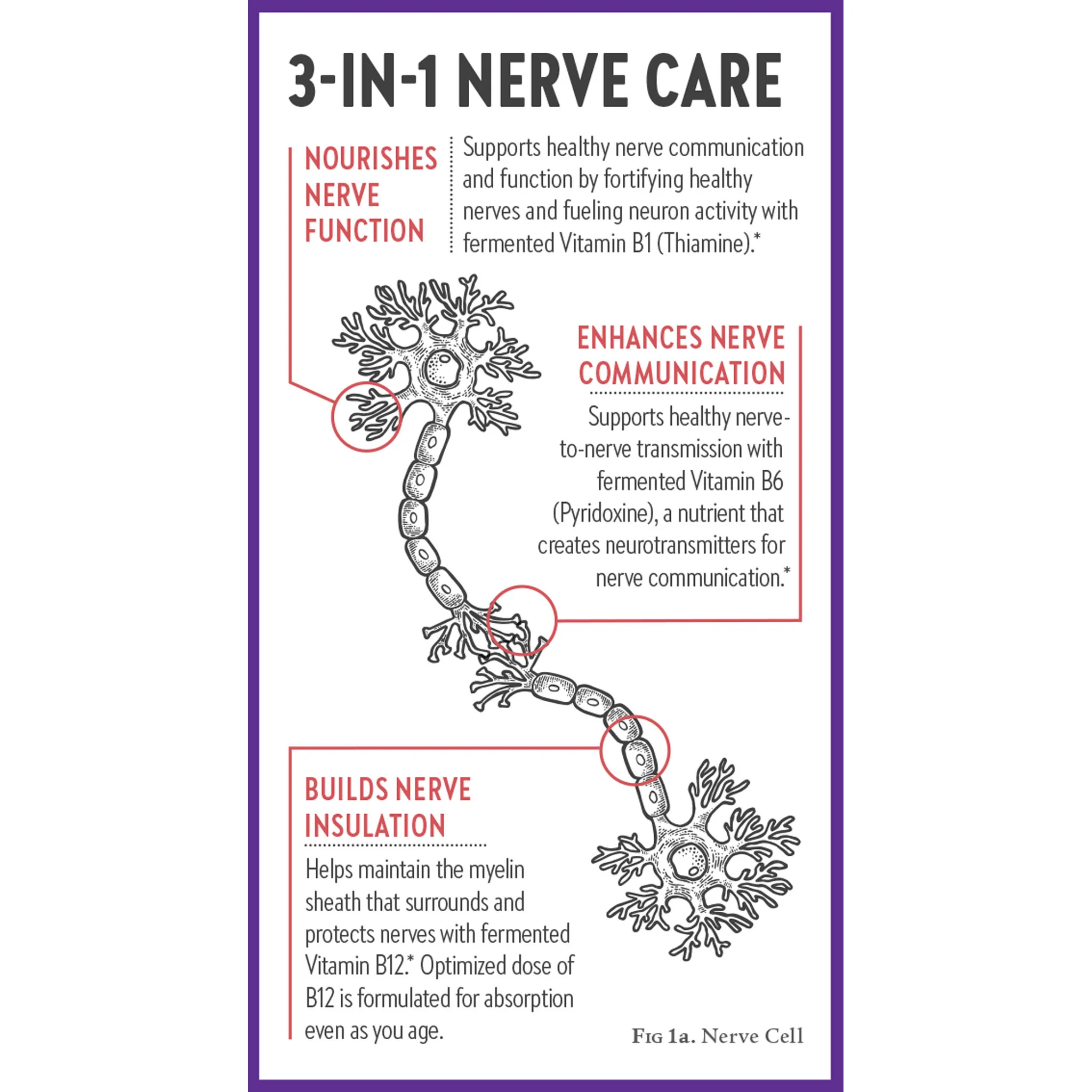 Holistic Nerve Health - Image 6