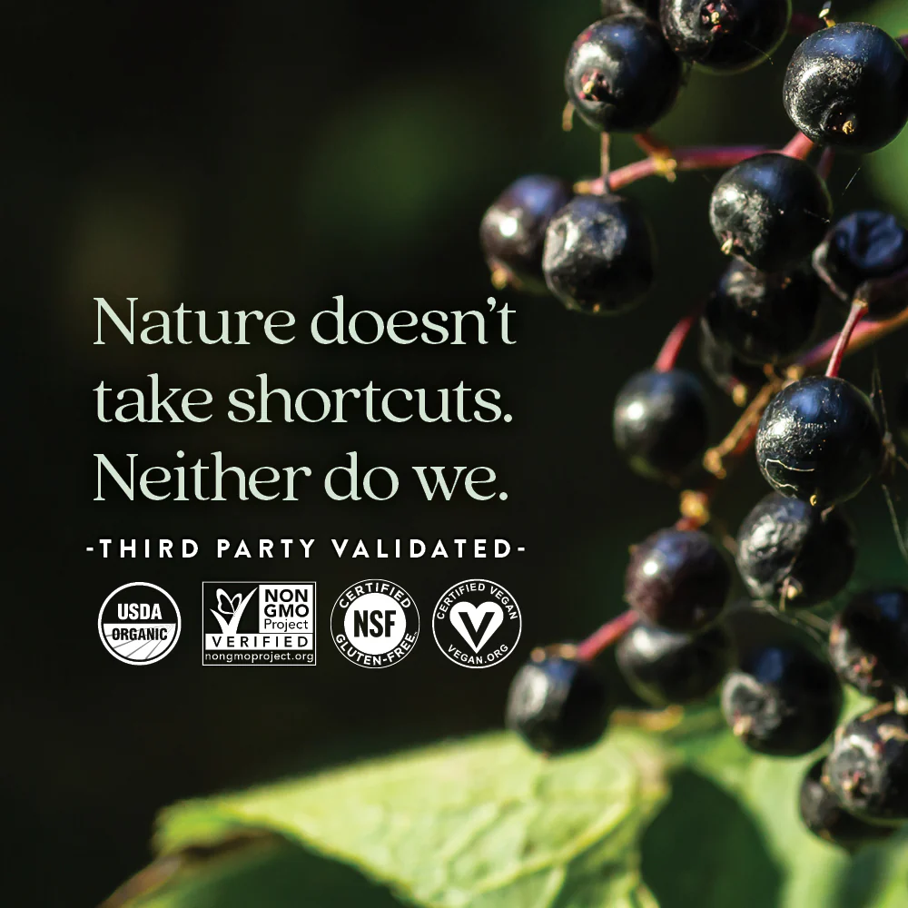 Organic Elderberry Whole-Food Gummies - Image 5